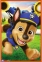 3 х 80 эл. - Щенячий патруль. Дружественная стая / Viacom PAW Patrol / Trefl 3