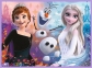2 в 1 (30,48) эл.+ Мемос – Холодное сердце-2. Принцессы в своей стране / Disney Frozen 2 / Trefl 0