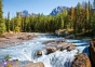 1500 ел. - Гірська річка Атабаска, Національний парк Джаспер, Канада / Castorland 0