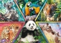 1000 ел. - Королівство тварин. Колаж / Discovery, Animal Planet / Trefl 0