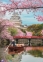 1000 ел. High Quality Collection - Замок Хімедзі, Японія / Clementoni 0