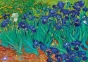 1000 элем. Art by Bluebird Puzzle - Винсент ван Гог. Ирисы / Bluebird Puzzle 0