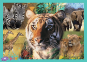 4 в 1 (35,48,54,70) эл. - Таинственный мир животных / Discovery, Animal Planet / Trefl 4