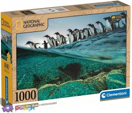 1000 ел. Compact - National Geographic. Пінгвіни Дженту поспішають до моря / National Geographic Society / Clementoni