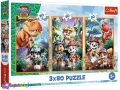3 х 80 ел. - Цуценячий патруль. Герої динозаврів / PAW Patrol The Dino Movie / Trefl