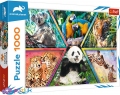 1000 ел. - Королівство тварин. Колаж / Discovery, Animal Planet / Trefl
