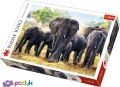 1000 ел. - Африканські слони / Trefl